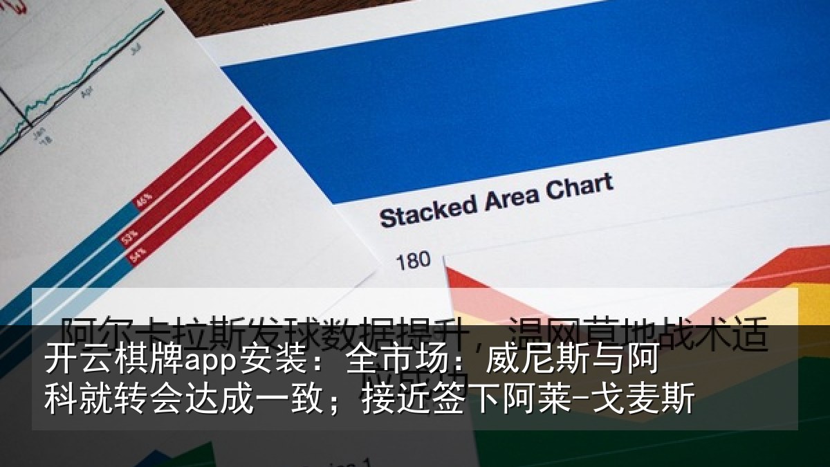 开云棋牌app安装：全市相关情况转会相关情况阿莱-戈麦斯