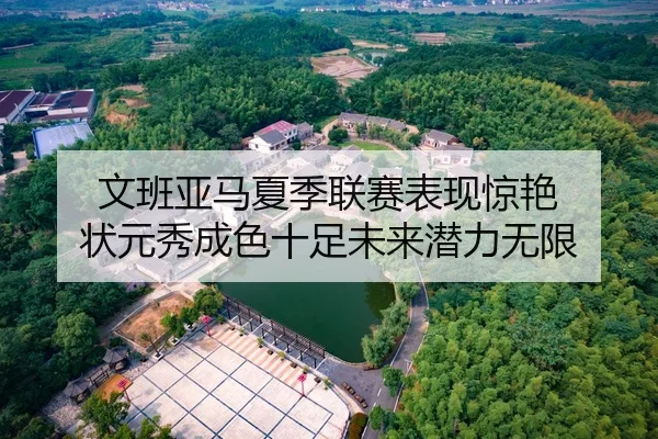 文班亚马夏季联赛表现惊艳 状元秀成色十足未来潜力无限